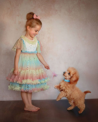 Faeella Pastel Stardust Layered Party Dress has softest tulle with comfortable cotton lining for school birthday party celebrations.