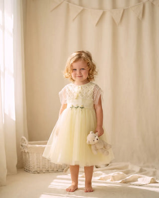 Toddler Dresses 1-3Y - Faeella