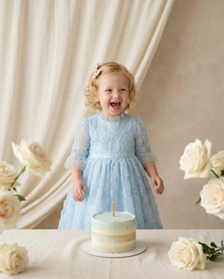 birthday dress 3t Lovely Baby Girl Embroidery Pageant Dress Toddler First Birthday Dress