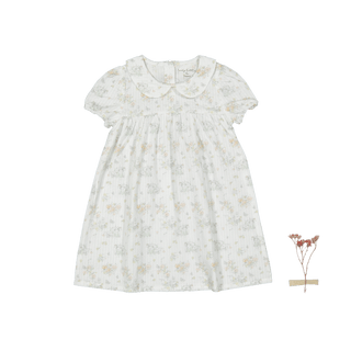 The Dressy Short Sleeve Collar Dress - Amelia