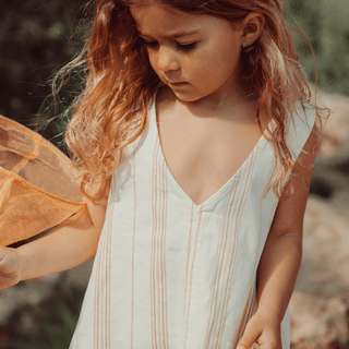 The Denim Dress - Rose Stripe
