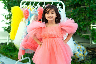 Blush Feather Fairy Tulle Dress – fairy - inspired dress for girls, perfect for Dresses | Faeella
