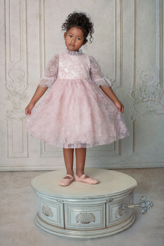 Young girl in a pink faeella dress, blush petal music box dress standing on a decorative pedestal against an ornate wall.