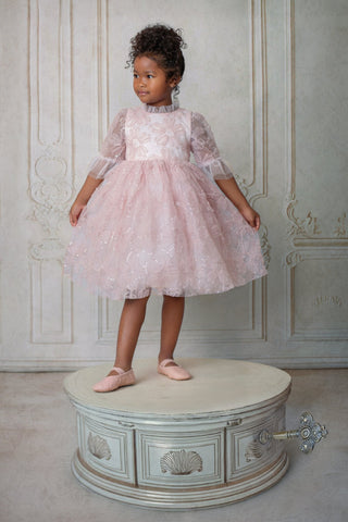 Young girl in a pink faeella dress, blush petal music box dress standing on a decorative pedestal against an ornate wall.
