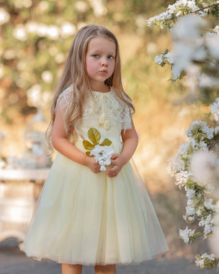Buttercream Belle Dress – fairy - inspired dress for girls, perfect for | Faeella
