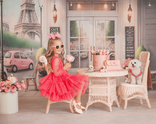 Parisian Rosé Tulle Party Dress – fairy - inspired dress for girls, perfect for | Faeella