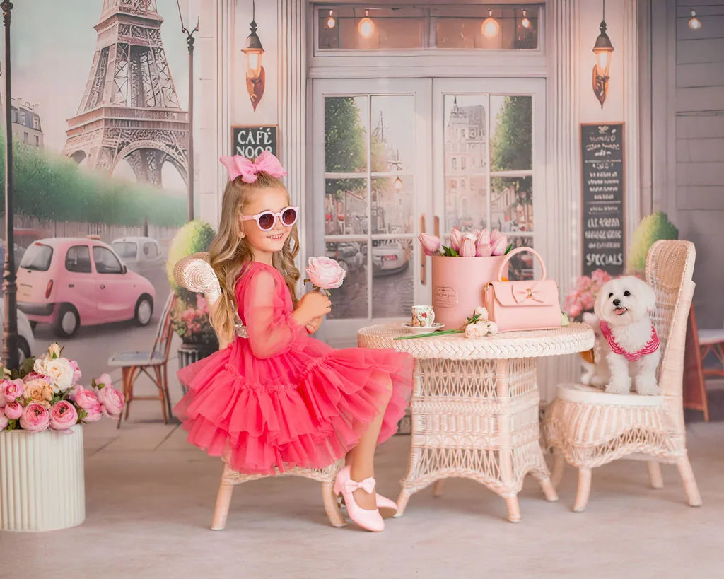 Parisian Rosé Pink Tulle Birthday Party Dress for Girls