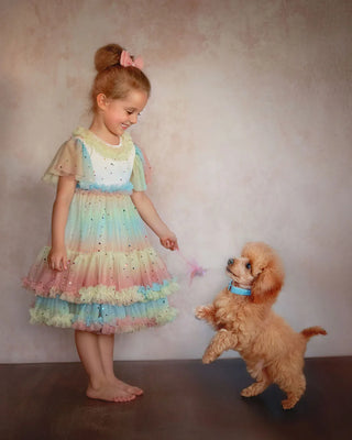 Pastel Stardust Layered Tulle Birthday Dress for Girls — styled photo of pastel layered tulle girls birthday dress by Faeella