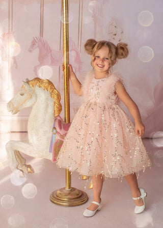 Sparkly Feather Fairy Tulle Dress